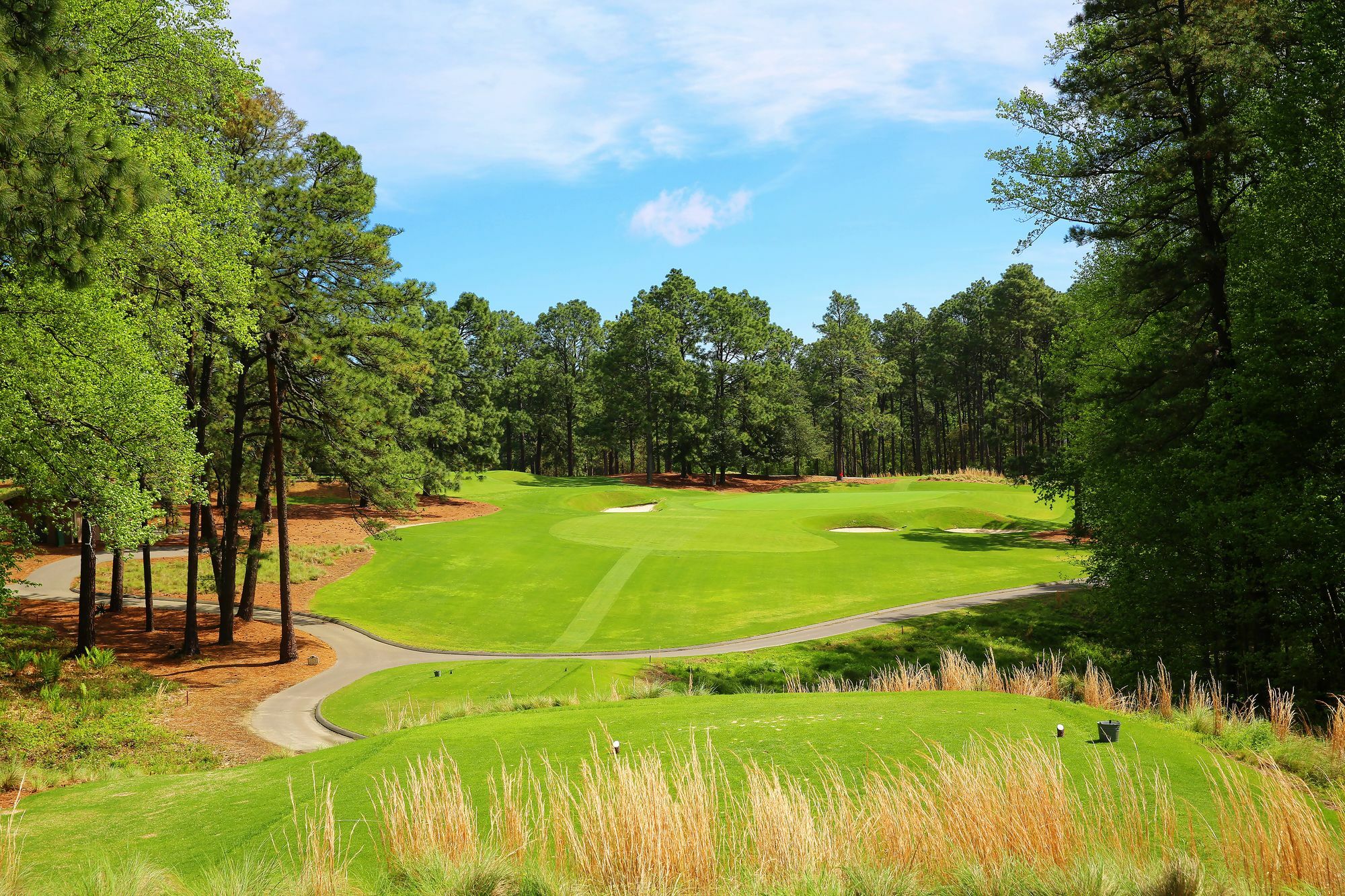 Pine Needles Lodge & Golf Club Саутерн-Пайнз Екстер'єр фото